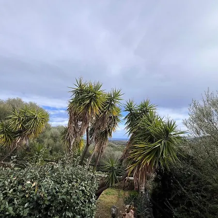 Mediterranean View *